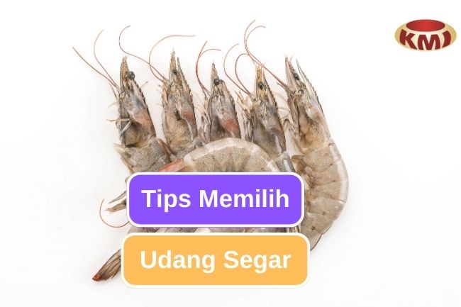 9 Cara Memilih Udang Yang Masih Segar